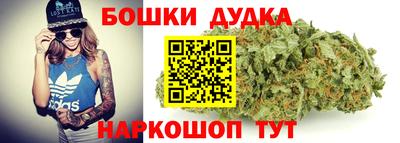 гидра Боровичи