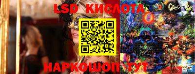 гидра Боровичи