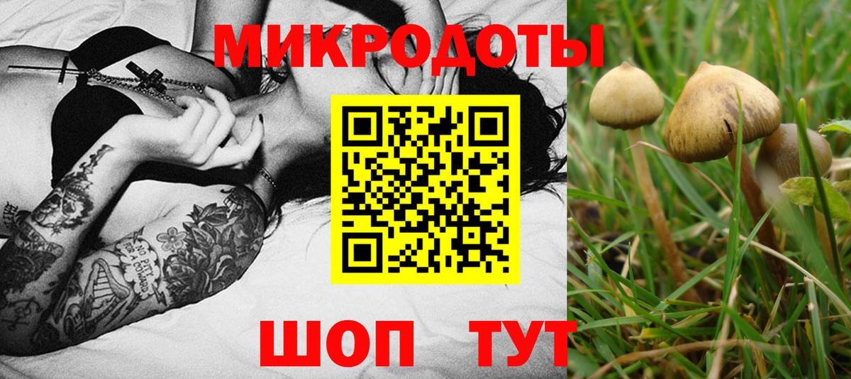 Галлюциногенные грибы Magic Shrooms Волоколамск